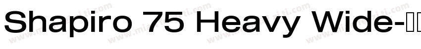 Shapiro 75 Heavy Wide字体转换